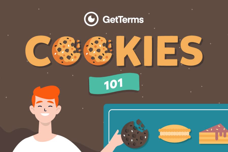 Preview of cookie infographic illustration