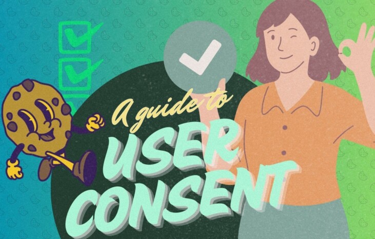 a guide to user consent